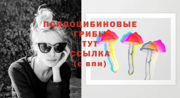 спайс Баксан
