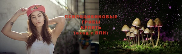 спайс Баксан