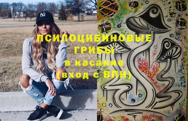 амф Гусиноозёрск
