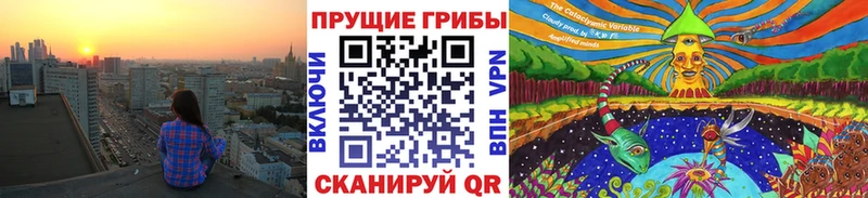 Псилоцибиновые грибы прущие грибы Заринск